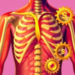 La Anatomía de una Cartera Ganadora: Ingredientes Clave