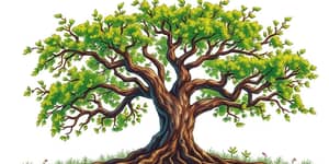 La Desinversión Estratégica: Soltar para Crecer Rentablemente