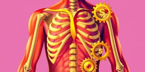 La Anatomía de una Cartera Ganadora: Ingredientes Clave