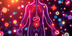 Internet de la Salud: Conectando Diagnóstico y Tratamiento
