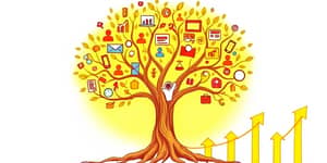 Valor Vitalicio del Cliente (CLV): Cultiva Relaciones Rentables