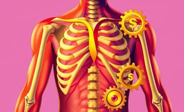 La Anatomía de una Cartera Ganadora: Ingredientes Clave